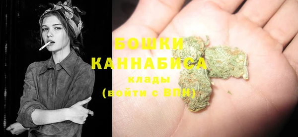 твердый Лиски