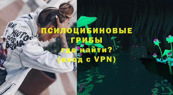 твердый Лиски