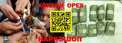 гидра Волгодонск