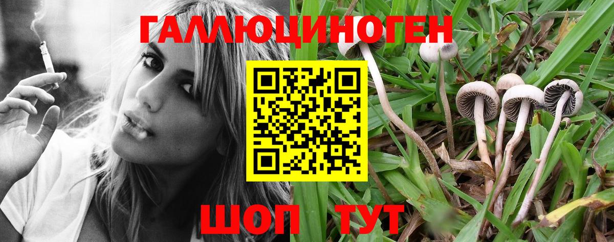 Псилоцибиновые грибы прущие грибы Ишим